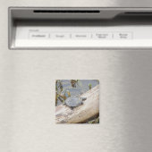 Aimant de tortue peint pour bébé (In Situ (Lave-vaisselle))