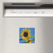 Aimant de tournesol (In Situ (Lave-vaisselle))