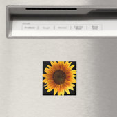 Aimant de tournesol (In Situ (Lave-vaisselle))