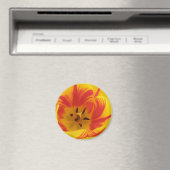 Aimant de tulipe fière (In Situ (Lave-vaisselle))
