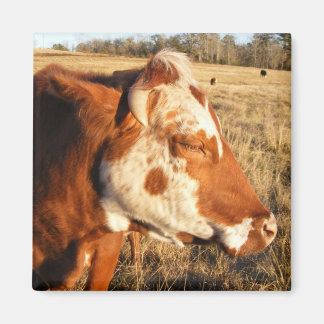 Aimant de vache : fantaisie