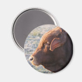 Aimant de vache : Le taureau (Recto/Verso)