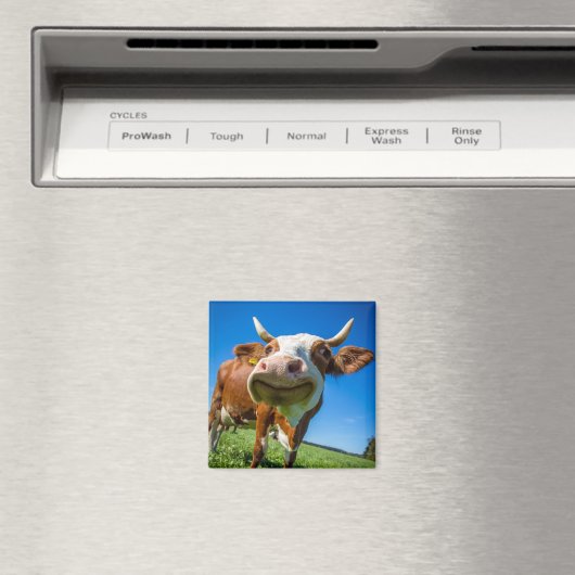 Aimant de vache souriante (In Situ (Lave-vaisselle))