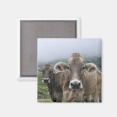 Aimant de vaches alpines (Recto/Verso)