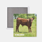 Aimant de veau (Recto/Verso)