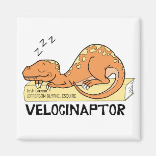 Aimant de Velocinaptor