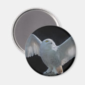 Aimant de vérification avant vol (Recto/Verso)