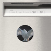 Aimant de vérification avant vol (In Situ (Lave-vaisselle))