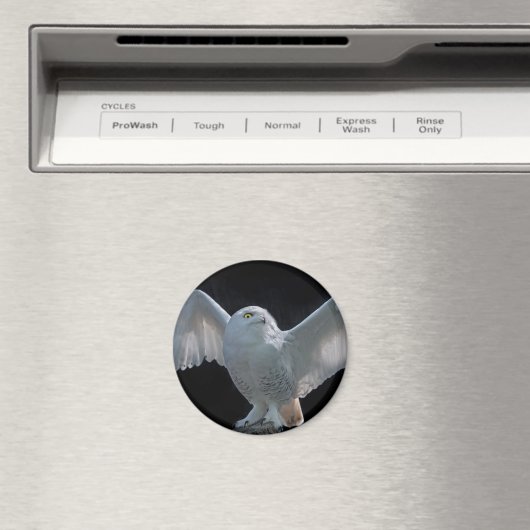 Aimant de vérification avant vol (In Situ (Lave-vaisselle))