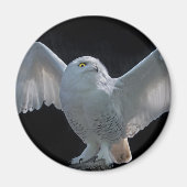 Aimant de vérification avant vol (Devant)