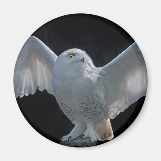 Aimant de vérification avant vol (Devant)