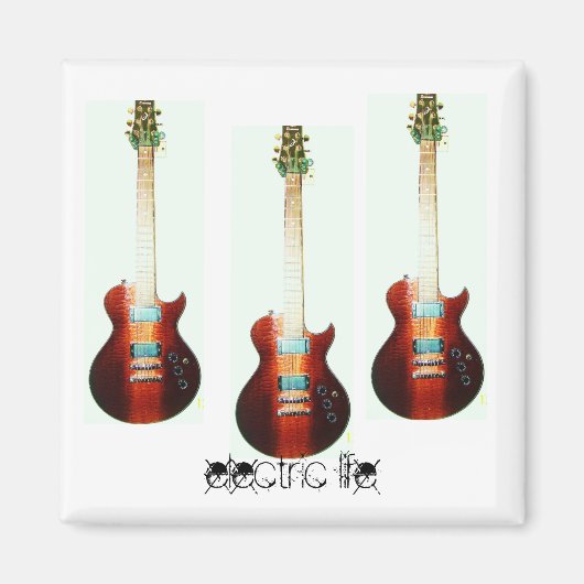 aimant de vie électrique (Devant)