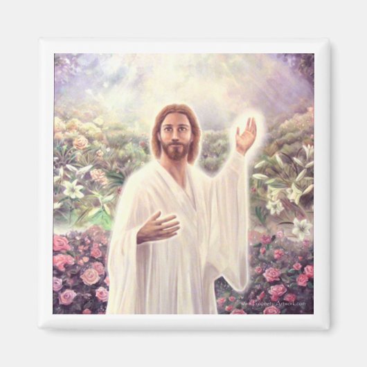 Aimant de vie éternelle (Devant)