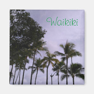 Aimant de Waikiki