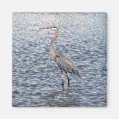 Aimant d'eau de Blue Heron (Devant)