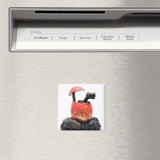 Aimant d'éclosion de dragon noir (In Situ (Lave-vaisselle))