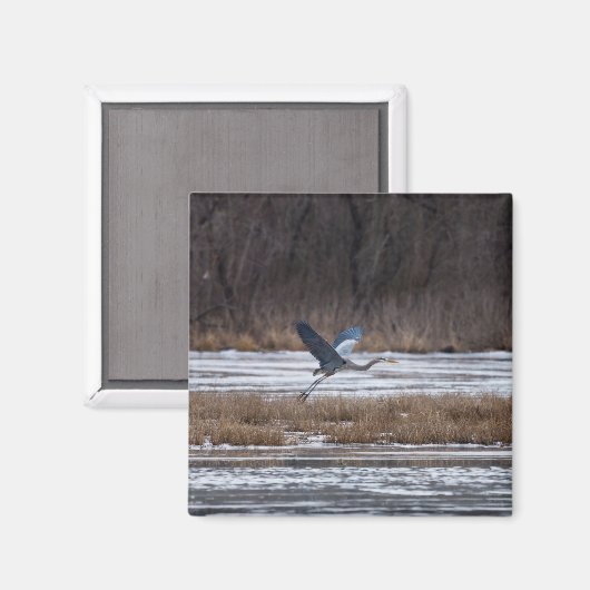 Aimant Décollage d'Heron (Recto/Verso)