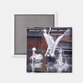 Aimant Décollage du pélican (Recto/Verso)