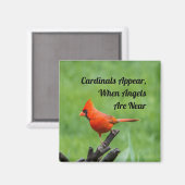 Aimant Décor de l'aimant Apparition de cardinaux près des (Recto/Verso)