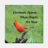 Aimant Décor de l'aimant Apparition de cardinaux près des (Devant)