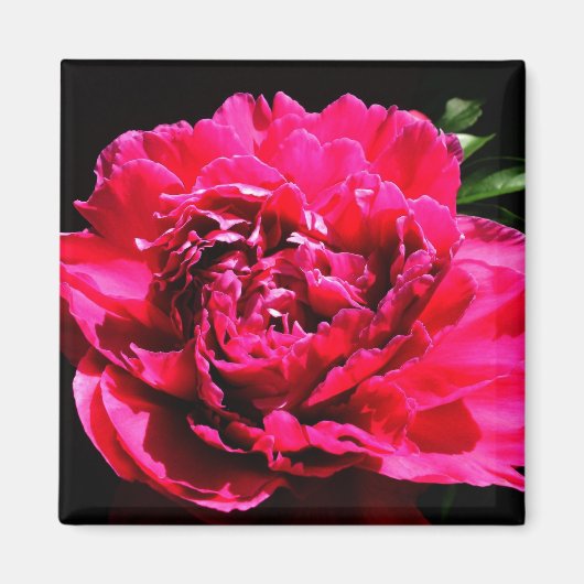 Aimant décoratif - Fleur (Devant)
