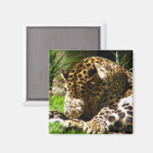 Aimant Décoration de grand félin de jungle (Recto/Verso)