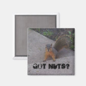 Aimant d'écureuil (Recto/Verso)