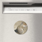 Aimant d'écureuil affamé (In Situ (Lave-vaisselle))