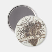 Aimant d'écureuil - Scoiattolo calamita (Recto/Verso)