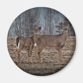 Aimant Deer_0337v (Devant)