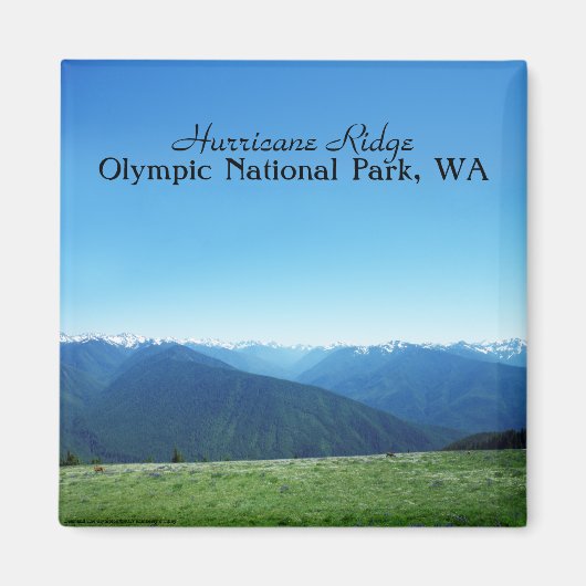 Aimant Deer et les Jeux Olympiques (Devant)