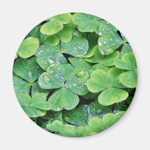 Aimant Deerpark Irlande Drops Clover Dew