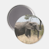 Aimant défenseur des éléphants (Recto/Verso)