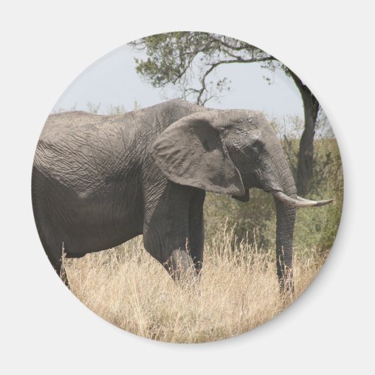 Aimant défenseur des éléphants (Devant)