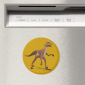 Aimant Deinonychus (In Situ (Lave-vaisselle))
