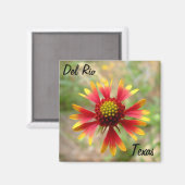 Aimant Del Rio Texas magnétique blanketflower fleur sauva (Recto/Verso)