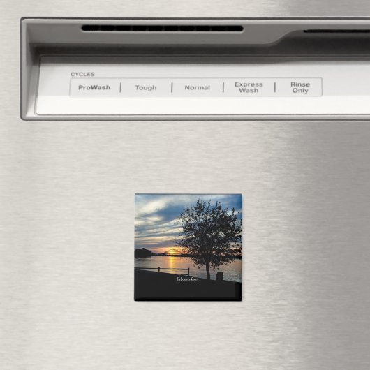 Aimant Delaware (In Situ (Lave-vaisselle))