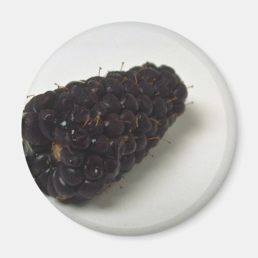 Aimant Délicieux Blackberry (Devant)