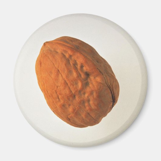 Aimant Délicieux noix (Devant)