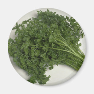 Aimant Délicieux persil