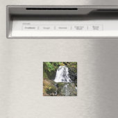 Aimant Dell Falls, Oregon (In Situ (Lave-vaisselle))