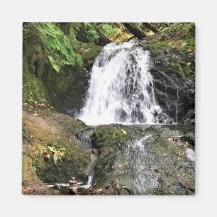 Aimant Dell Falls, Oregon