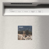 Aimant Delphi (In Situ (Lave-vaisselle))