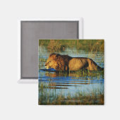 Aimant Delta de l'Okavango, Botswana 3 (Recto/Verso)