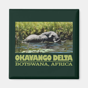 Aimant Delta d'Okavango