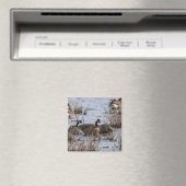 Aimant Déménagement (In Situ (Lave-vaisselle))