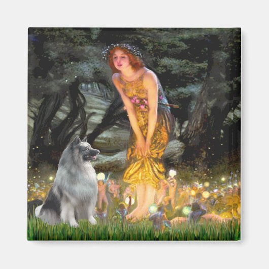 Aimant Demi-été - Keeshond (Devant)