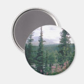 Aimant Denali - Alaska (Recto/Verso)