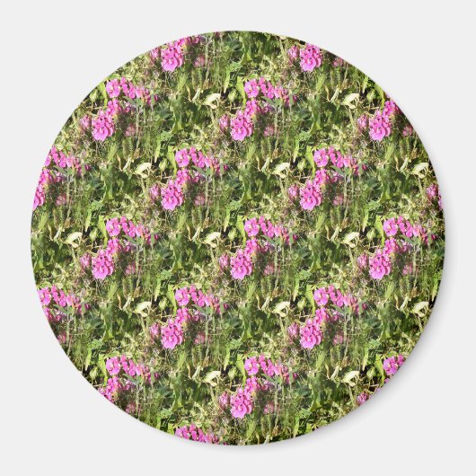 Aimant Dentelle de pois doux..... (Devant)