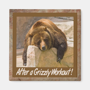 Aimant d'entraînement Grizzly